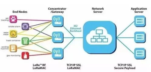 無線通信網絡之LORA技術及其在信息系統集成服務中的應用